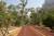 Ballade sur la terre ferme